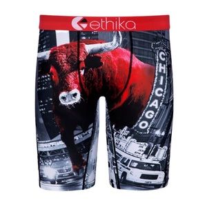 Ethika chicago Briefs